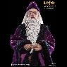 ALBUS DUMBLEDORE (NORMAL VERSION)